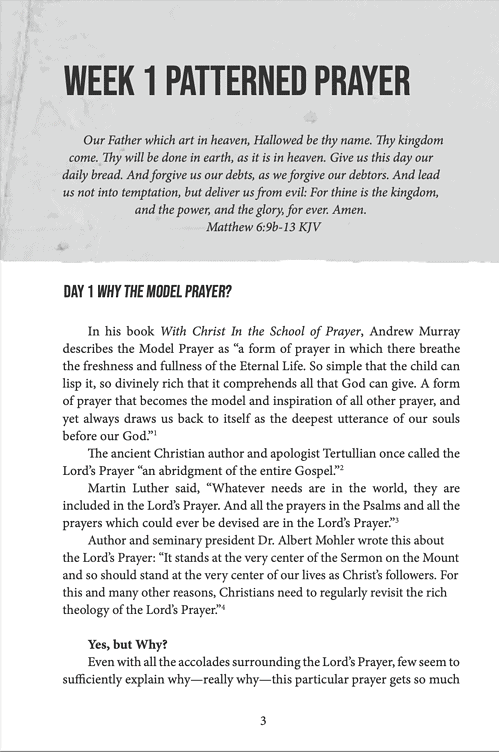 HE. WE. THEY. The Life-Altering Formula of the Model Prayer - Image 4