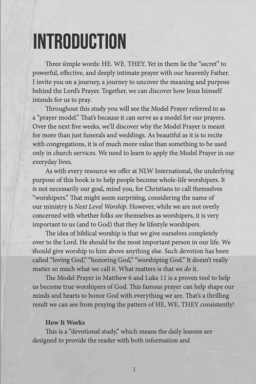 HE. WE. THEY. The Life-Altering Formula of the Model Prayer - Image 3